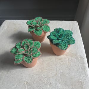 Beaded Succulent - Etsy