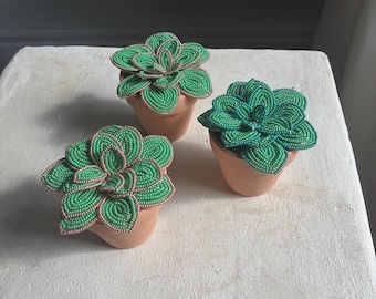 Succulenta francese con perline