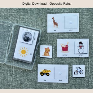 以下が含まれることがあります： 「Digital Download - Opposite Pairs」のテキストが入ったフラッシュカードのセット。背の高い/短い、明るい/暗い、夏/冬、大きい/小さいなど、反対のイラストが描かれています。猫、キリン、太陽、月、雪だるま、ダンプトラックも含まれています。