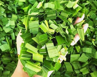 May include: A large pile of freshly cut, vibrant green pandan leaves chopped into small, uniform rectangular pieces. The leaves exhibit a bright, saturated green color with a fibrous texture, showcasing the natural appearance of the plant.