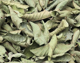 May include: Close-up of dried guava leaves, showcasing a mix of light and dark green hues. The leaves are curled and textured, with visible veins, creating a natural, organic pattern. The image highlights the leaves' dried state and their detailed structure.