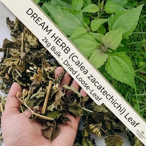 2kg de Calea Zacatechichi em folhas soltas, erva natural dos sonhos para o bem-estar, da Schmerbals Herbals.
