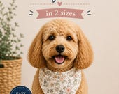 Over Collar Dog Bandana Sewing Pattern, Reversible Dog Bandana Pattern, Easy Pet Sewing Pattern PDF, Dog Clothes Template, Pet Accessory DIY