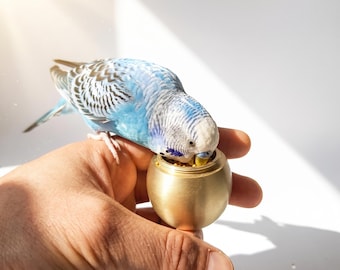 Massief messing trainingspotje voor vogels, handzame houder voor huisdierensnoepjes, voerbakje op zakformaat