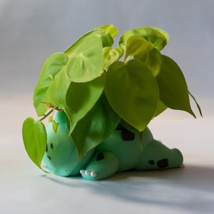 Peut inclure: Un pot de fleurs en forme de créature quadrupède vert clair avec des taches vert foncé et des griffes blanches, surmonté d'une plante philodendron luxuriante aux feuilles en forme de cœur d'un vert citron éclatant.