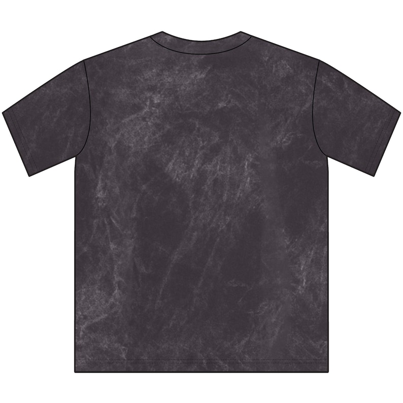 Exile T-Shirt | Zuko Inspired Fire Nation Crown Tee | Mineral Wash Cotton image 7