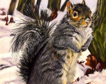 Art Print of Grey Squirrel, 8x10 or 11x14 Print from Vermont Made Pastel Painting