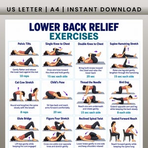 May include: A digital chart titled Lower Back Relief Exercises featuring twelve illustrated panels showing various stretches and movements. Each panel includes a title, a figure in a pink top and black leggings performing the exercise, and instructions.