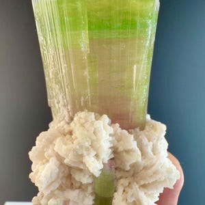 May include: A raw tourmaline crystal specimen featuring a tall, translucent lime-green prism with vertical striations, partially embedded in a cluster of opaque, white, crystalline mineral formations that extend outward from the base.