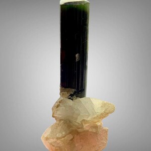 May include: A vertical, elongated dark green tourmaline crystal with a flat, light-colored top termination. The crystal is attached to a cluster of translucent, pale pink and white mineral formations at its base, featuring jagged edges.