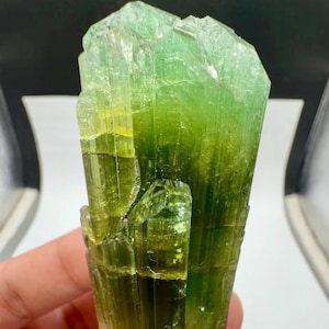 May include: A translucent green tourmaline crystal specimen featuring a vertical striated structure. The mineral displays a color gradient transitioning from a lighter lime green at the top to a deeper, more saturated forest green at the base.