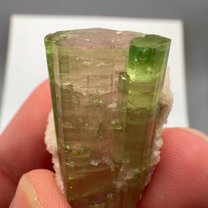 May include: A raw, translucent green tourmaline crystal specimen featuring a prismatic, vertically striated structure with a flat, pale pinkish-toned top termination, set against a rough, light-colored mineral matrix base.
