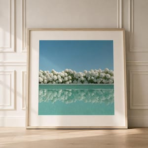 Puede incluir: Una impresión artística enmarcada que presenta una escena serena de una piscina que refleja flores blancas y un cielo azul claro. La obra de arte está encerrada en un marco de madera clara, agregando un toque de elegancia natural a la imagen.