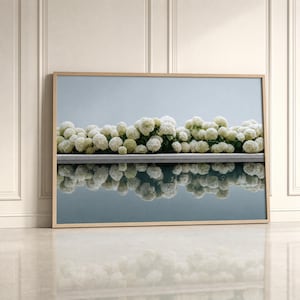 Puede incluir: Una impresión de arte mural horizontal enmarcada que presenta una hilera de flores de hortensia blancas que florecen a lo largo de un borde recto, con un reflejo claro de las flores visible en el agua oscura y quieta sobre un fondo gris claro.