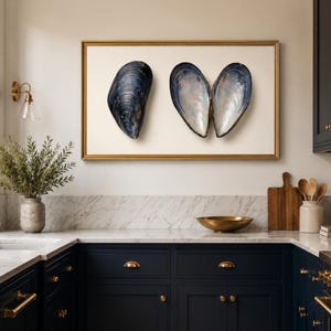 May include: A framed artwork featuring three large mussel shells. Two shells are open, revealing a pearlescent interior, while the third is closed. The shells are set against a cream background within a gold frame. The kitchen features navy blue cabinets and a marble countertop.