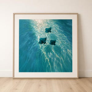 Puede incluir: Una impresión de arte mural cuadrada y enmarcada que muestra tres rayas de color azul cerceta oscuro nadando en agua clara y azul brillante. La superficie del agua presenta ondas ligeras y patrones bañados por el sol muy contrastados.