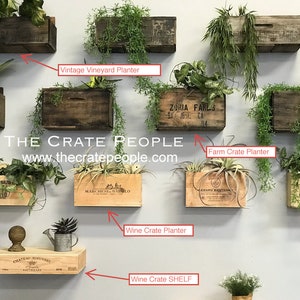 Vintage Wood Crate Planters on Wall Create a wall Garden outside or Inside image 2