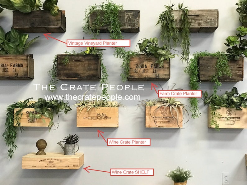 Vintage Wood Crate Planters on Wall Create a wall Garden outside or Inside image 2