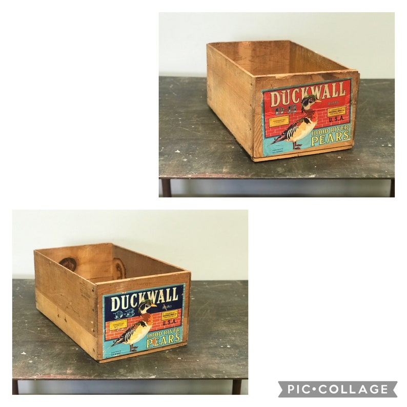 Wood Crates Vintage PEAR boxes WHOLESALE PRICING Hundreds Available image 3