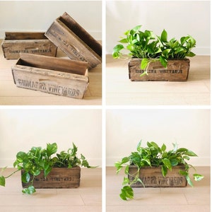 Vintage Wood Crate Planters on Wall Create a wall Garden outside or Inside Vineyard Crate