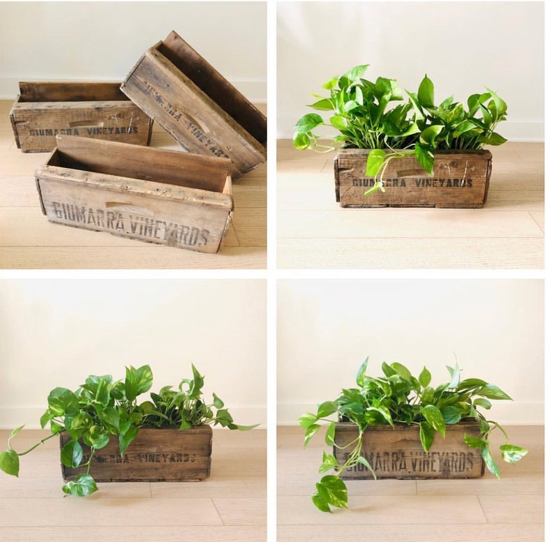 Vintage Wood Crate Planters on Wall Create a wall Garden outside or Inside Vineyard Crate