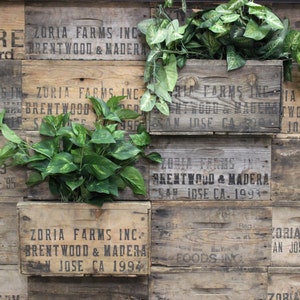 Vintage Wood Crate Planters on Wall Create a wall Garden outside or Inside Zoria Farm