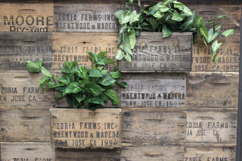 Vintage Wood Crate Planters on Wall Create a wall Garden outside or Inside Zoria Farm