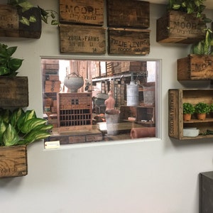 Vintage Wood Crate Planters on Wall Create a wall Garden outside or Inside image 5