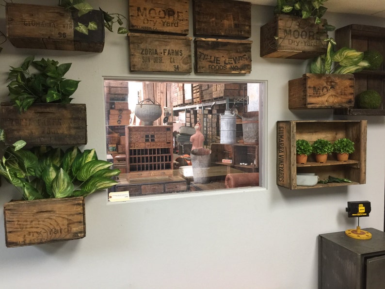 Vintage Wood Crate Planters on Wall Create a wall Garden outside or Inside image 5