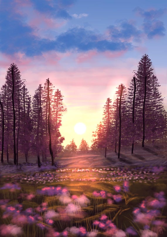 Sun through the trees