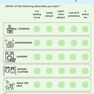 May include: A light blue and pale green chores preference survey form titled Anna & Peter's Chores Preference Survey. It lists tasks like cooking, dishwashing, laundry, drying clothes, walking the dog, and vacuuming with five rating circles each.