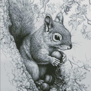 May include: Black and white illustration of a squirrel in a tree, holding nuts. The squirrel is detailed with fur and a bushy tail. The tree has detailed bark and leaves, with several nuts in the tree hollow.
