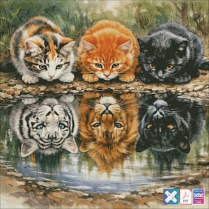 May include: A digital art print featuring three kittens and their reflections. The kittens are a calico, orange tabby, and black cat. Their reflections show a tiger, lion, and black cat in the water below. The artwork is set in a natural outdoor scene.