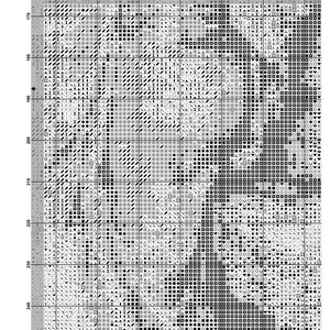 May include: A black and white cross stitch pattern chart titled PAGE 11 JAPANESE GARDEN. The grid features numbered coordinates from 140 to 200 horizontally and 170 to 240 vertically, filled with various geometric symbols representing thread colors.