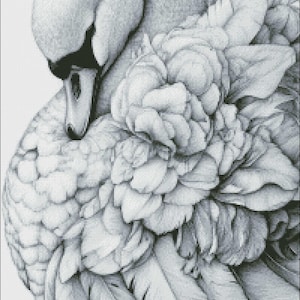 Peut inclure: Illustration en noir et blanc d'un cygne, la tête enfouie dans ses plumes. L'œuvre présente des détails complexes de plumes et un aspect doux et texturé. Le cygne est entouré d'éléments floraux.
