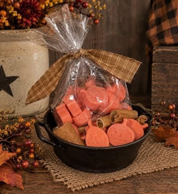 Fall Pumpkin Wax Melts – Package of 8-