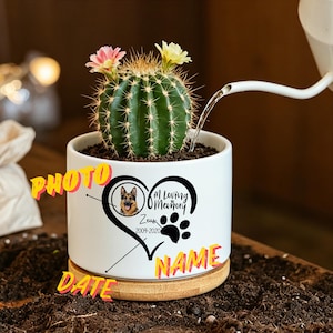 Peut inclure: Un pot de fleurs en céramique blanche avec un cactus et deux petites fleurs. Le pot présente un motif en forme de cœur avec une photo de chien, une empreinte de patte et le texte "In Loving Memory" et "Zeus 2009-2020". Le pot repose sur une base en bois.