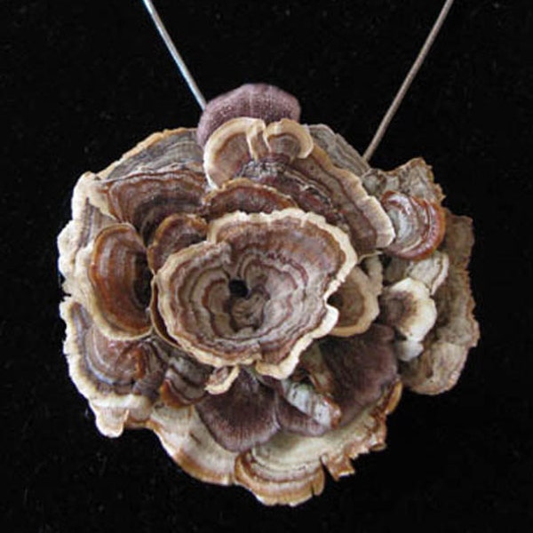 Mushroom Pendant Pin, Preserved Wild Mushroom Wearable Art: Browsette