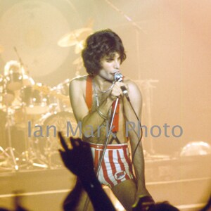 Freddie Mercury Poster - Queen Band Poster 8X12 OR Poster