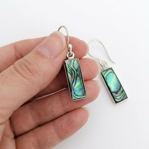 Può includere: Un paio di orecchini pendenti rettangolari con inserti in conchiglia di abalone iridescente incastonati in montature di metallo color argento. Ogni orecchino pende da un gancio argentato curvo, mostrando motivi vorticosi di vivaci colori verde, blu e nero.