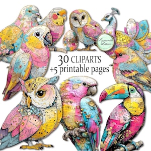 May include: A collection of colorful bird clip art, including owls, parrots, and toucans. The birds are decorated with map and text patterns in shades of pink, yellow, and blue. The image includes the text "30 cliparts + 5 printable pages."