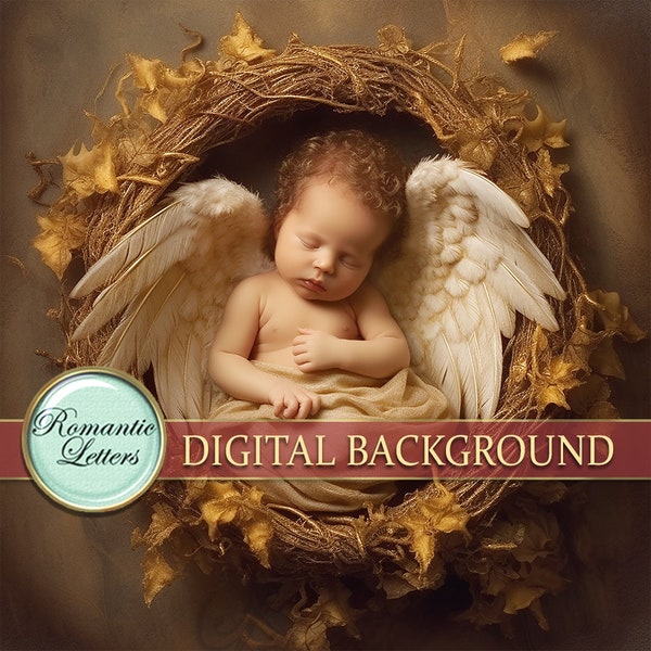Digital backdrop for newborn photography angel wings basket digital photo prop newborn baby boy girl portrait background nest shabby chic