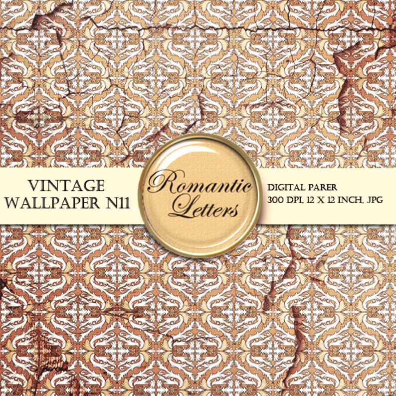 Wallpaper Digital Scrapbook paper pack Vintage texture digital Backdrops Damask Grunge background rose image 4