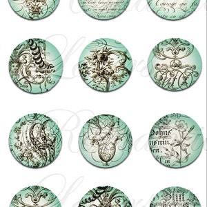 Printable digital 1 Inch circle collage sheet digital Shabby Chic 1 inch Jewelry pendant bottle cap images printable digital download 1 inch image 3