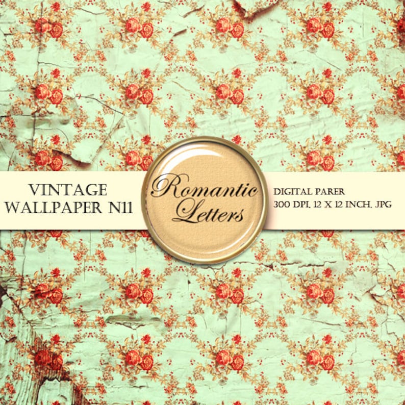 Wallpaper Digital Scrapbook paper pack Vintage texture digital Backdrops Damask Grunge background rose image 3