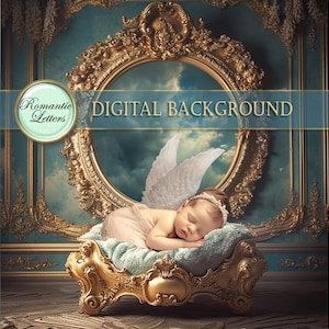 Digital photography backdrop newborn digital photo prop background newborn baby boy girl portrait background shabby chic sky clouds