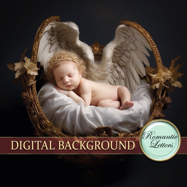 Digital backdrop for newborn photography angel wings basket digital photo prop newborn baby boy girl portrait background bed nest