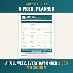 7 day kidney friendly meal plan with daily sodium counts around 1500 mg and renal techniques built in