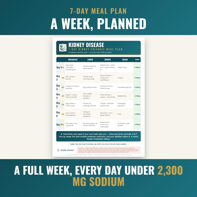 7 day kidney friendly meal plan with daily sodium counts around 1500 mg and renal techniques built in