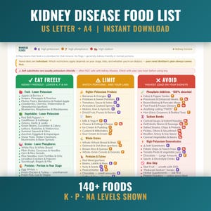 Kidney Food List Printable, Renal Diet Chart by Stage, CKD Labs Explained, Low Potassium Low Phosphorus Meal Plan & Grocery PDF